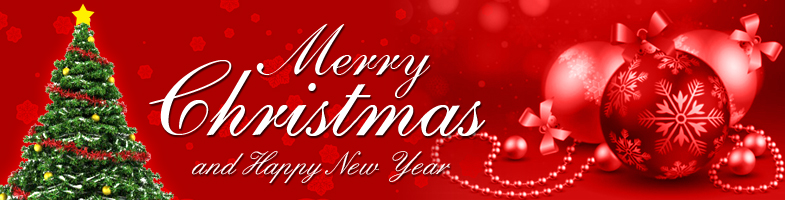 Merry Christmas 2021